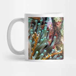 Sea Anemone and Coral Wall Mug